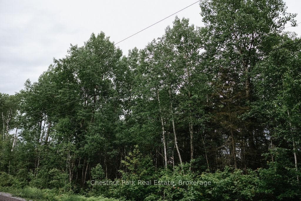 447 Fox Run photo 38
