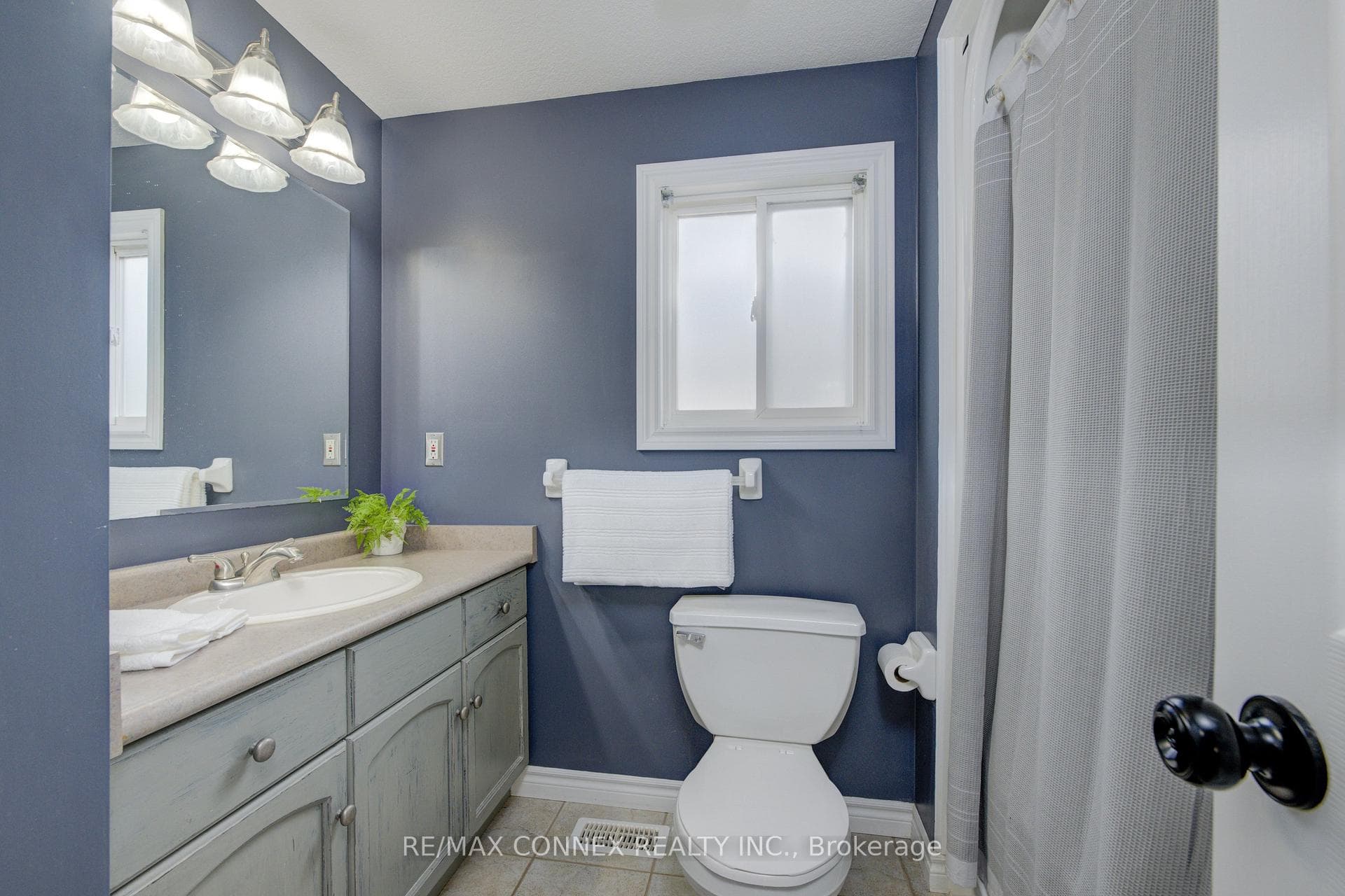 47 Pattison Place photo 17