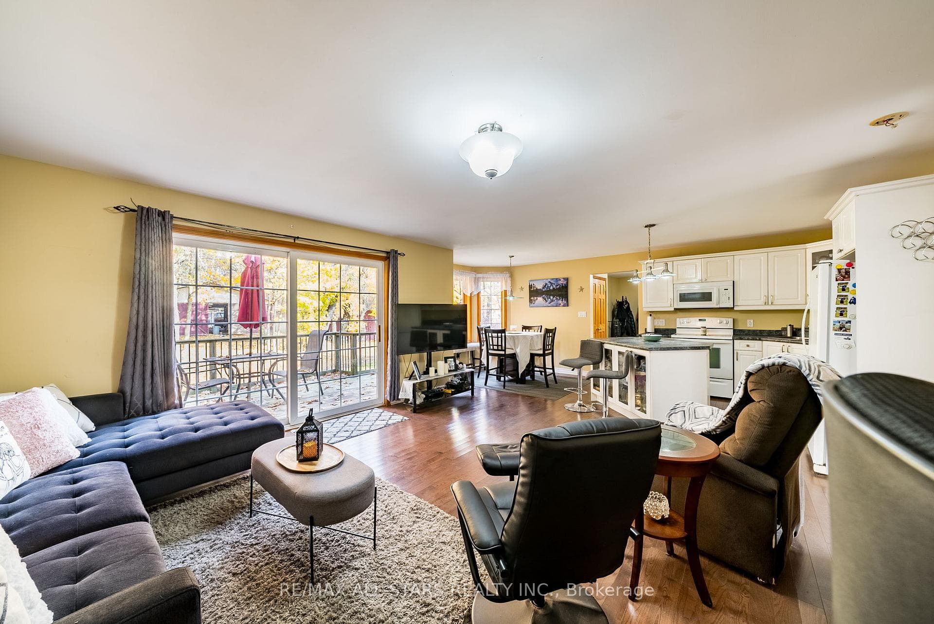 100 Snow Ridge Court photo 28