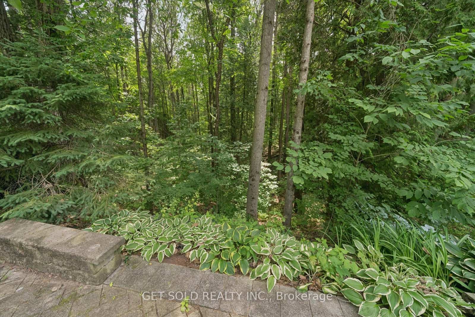 80 White Pine Trail photo 14