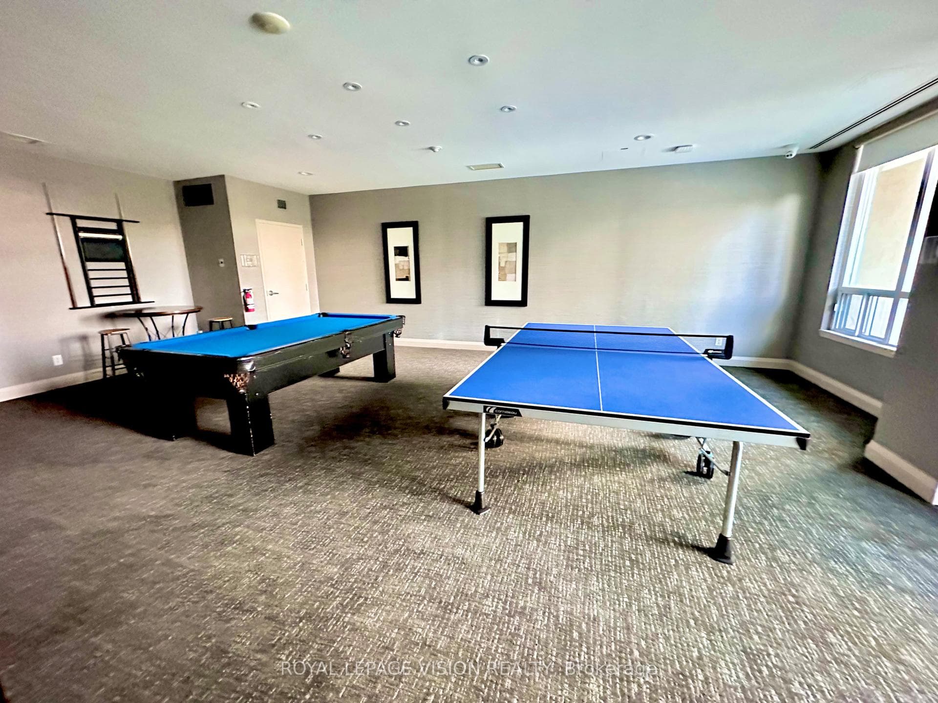 17 Barberry Place Unit 1112 photo 18