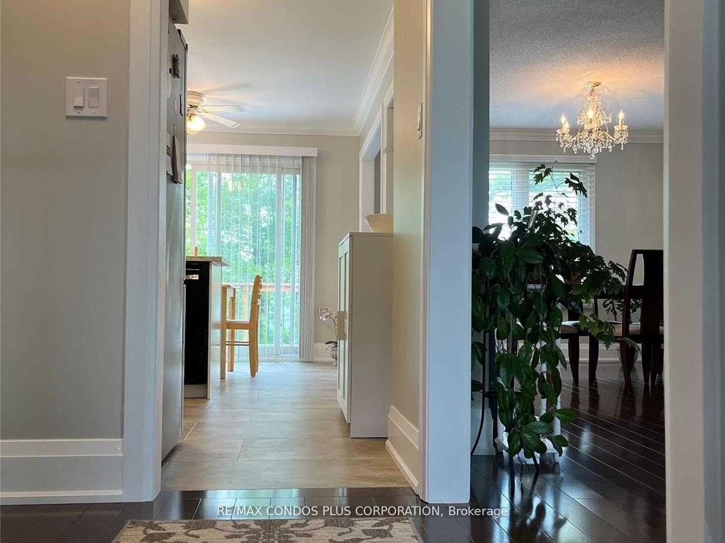 51 Sandy Lane photo 5