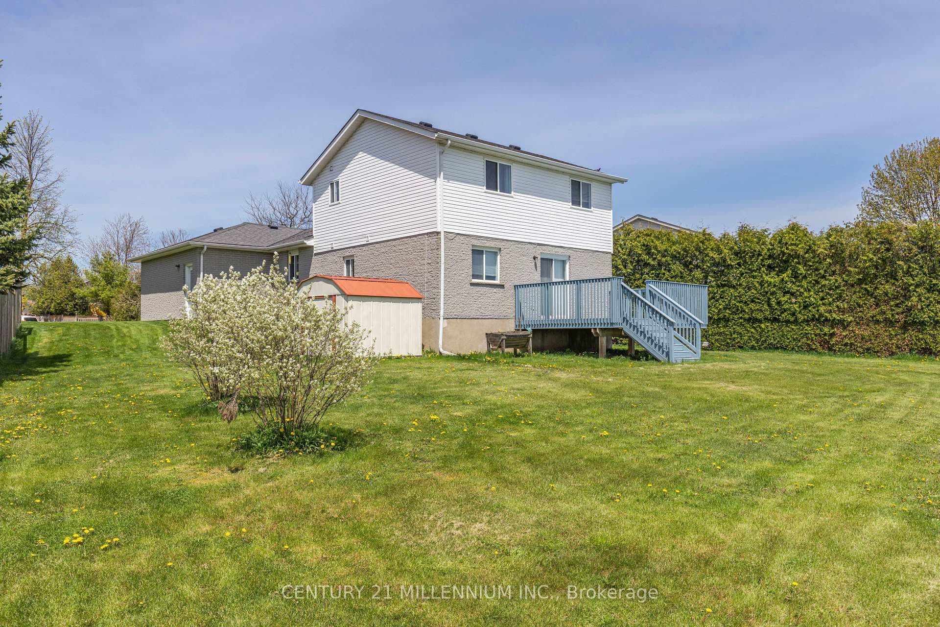 50 Davison Place photo 34