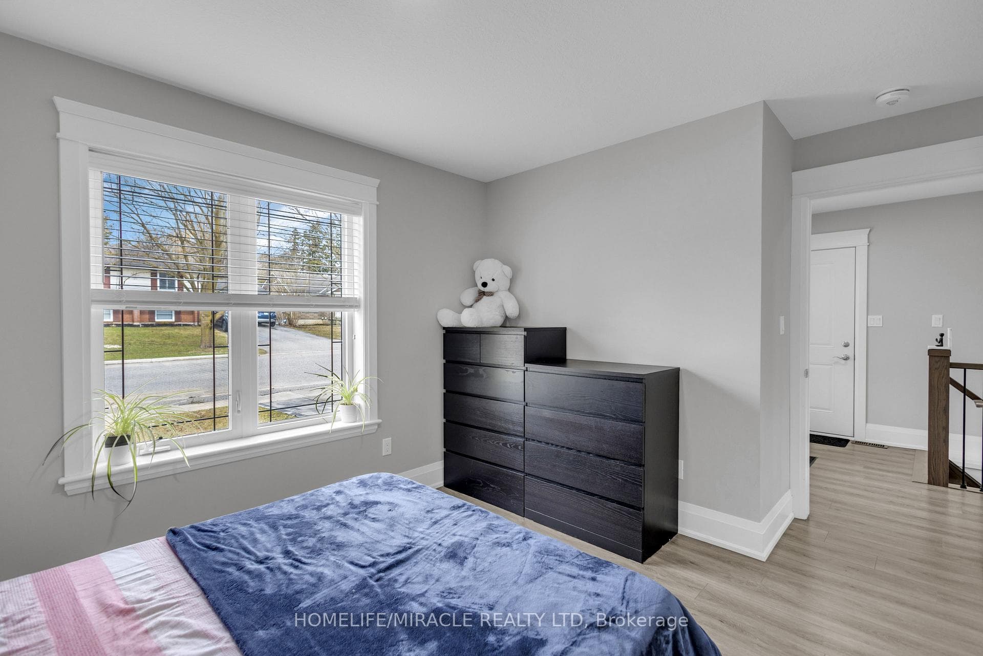172 Miller Street photo 9