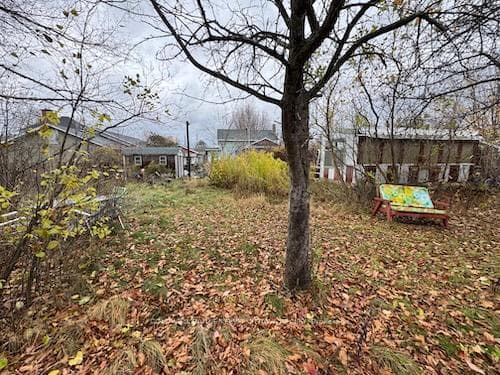 Back of lot looking to home