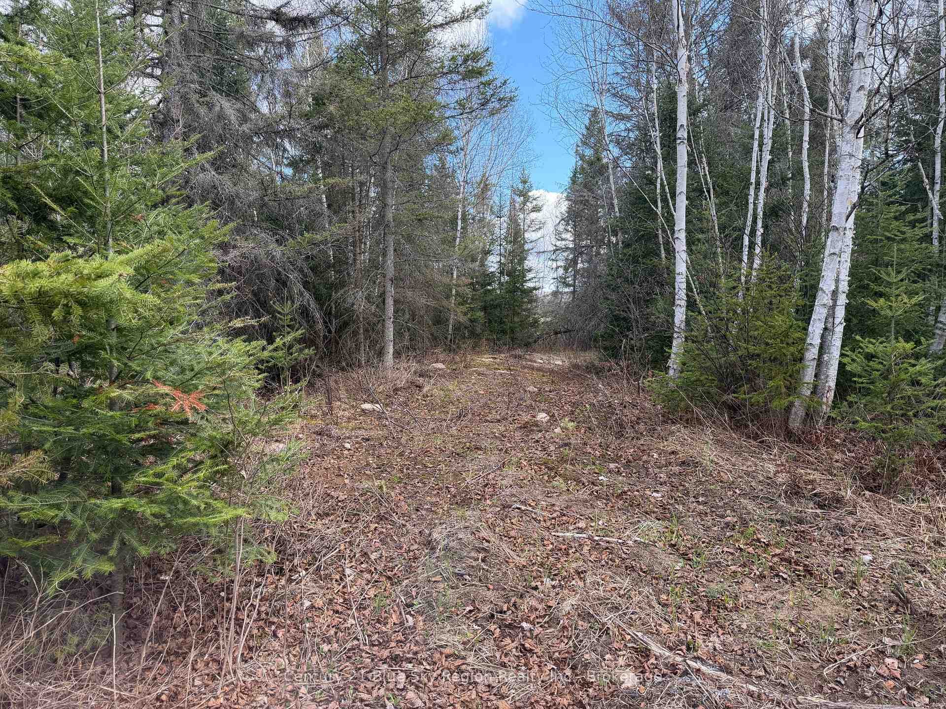 Lot 9 Part 1 Johnson Road photo 2
