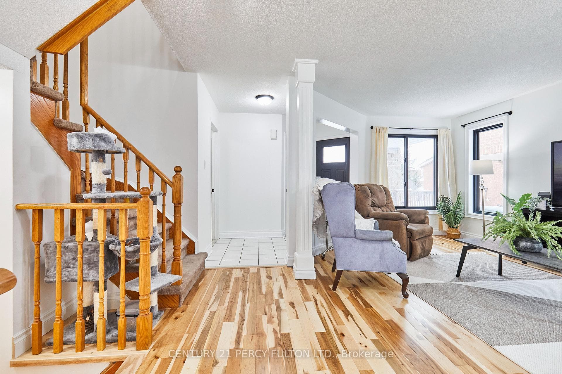 9 Brodie Court photo 3