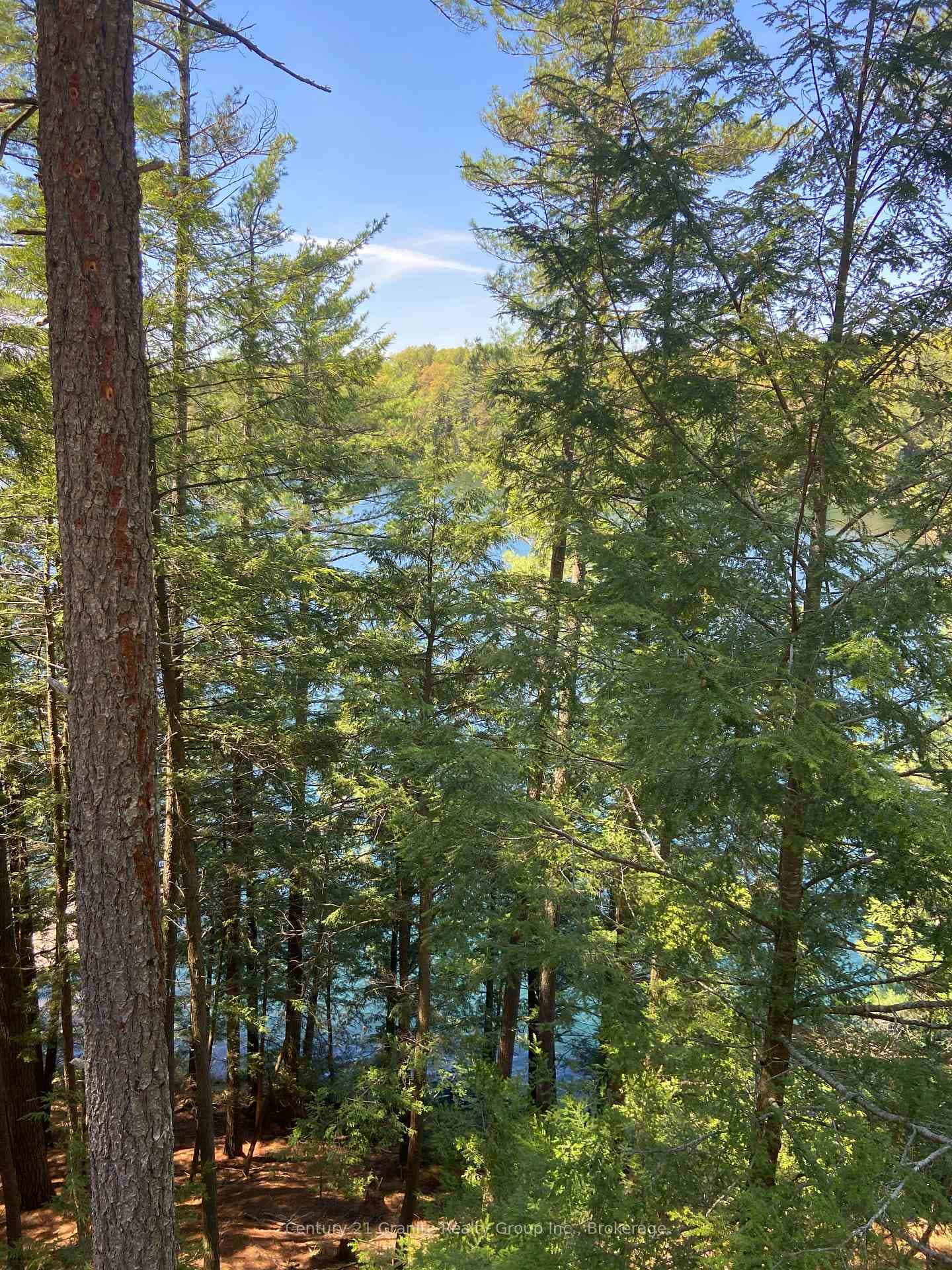 1153 Bitter Lake Road photo 11