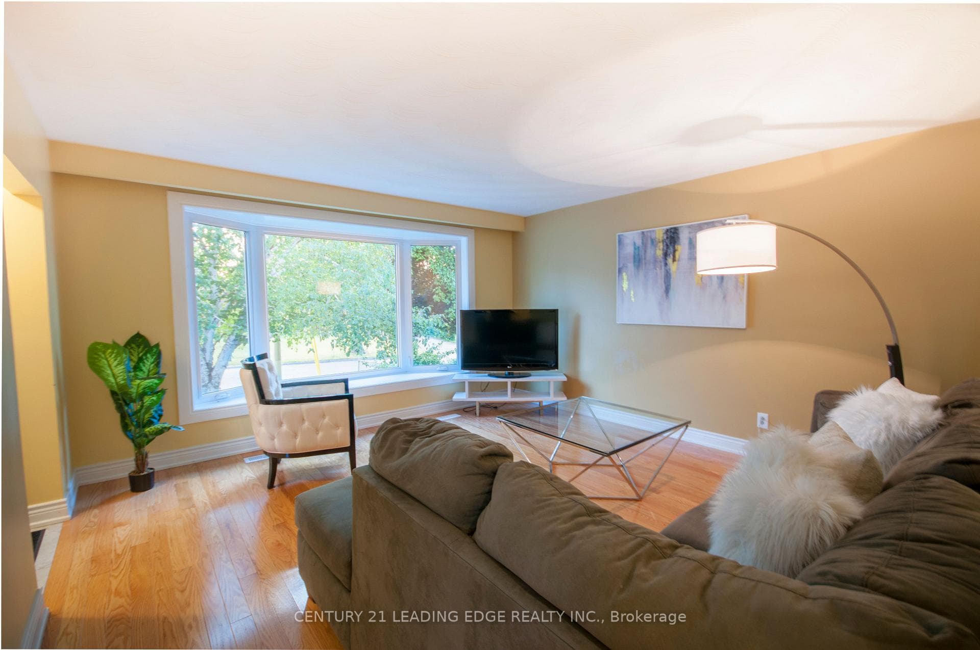 231 Linden Court photo 5