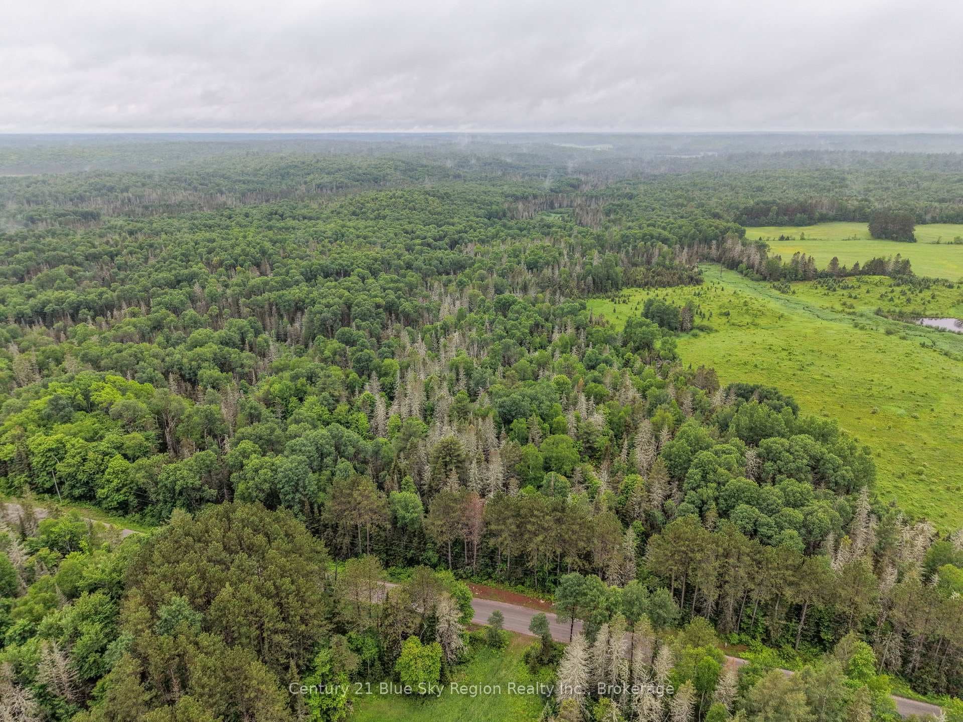 0 CON 12 PT LOT 11 Pearceley Road photo 14