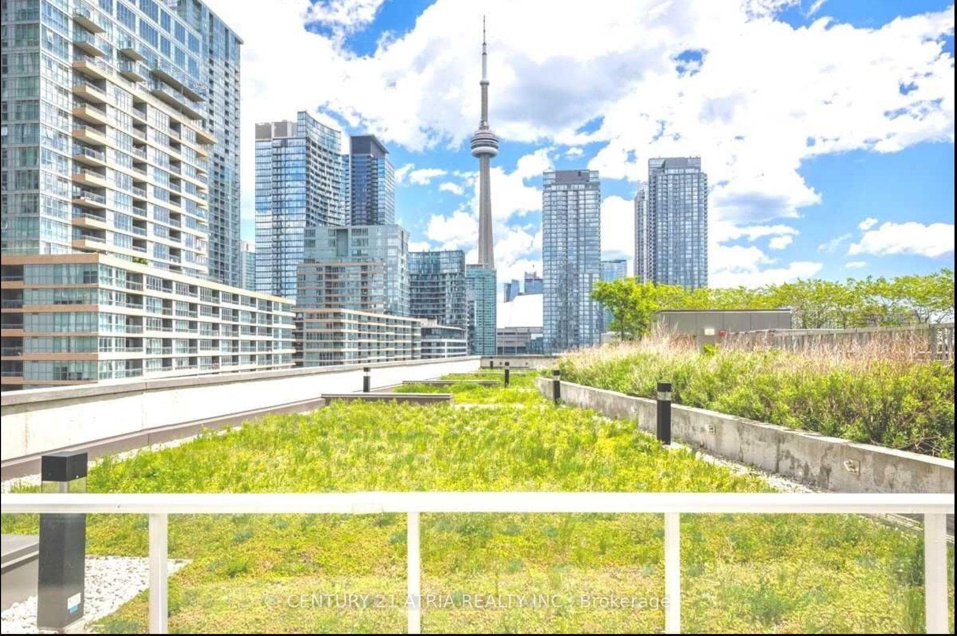 85 Queens Wharf Road Unit 812 photo 24
