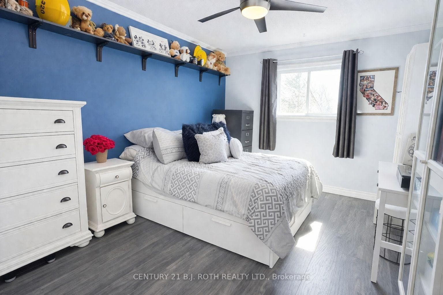 9 Laidlaw Drive photo 23