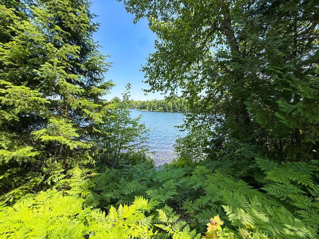 473 North Meadowcove Road photo 16