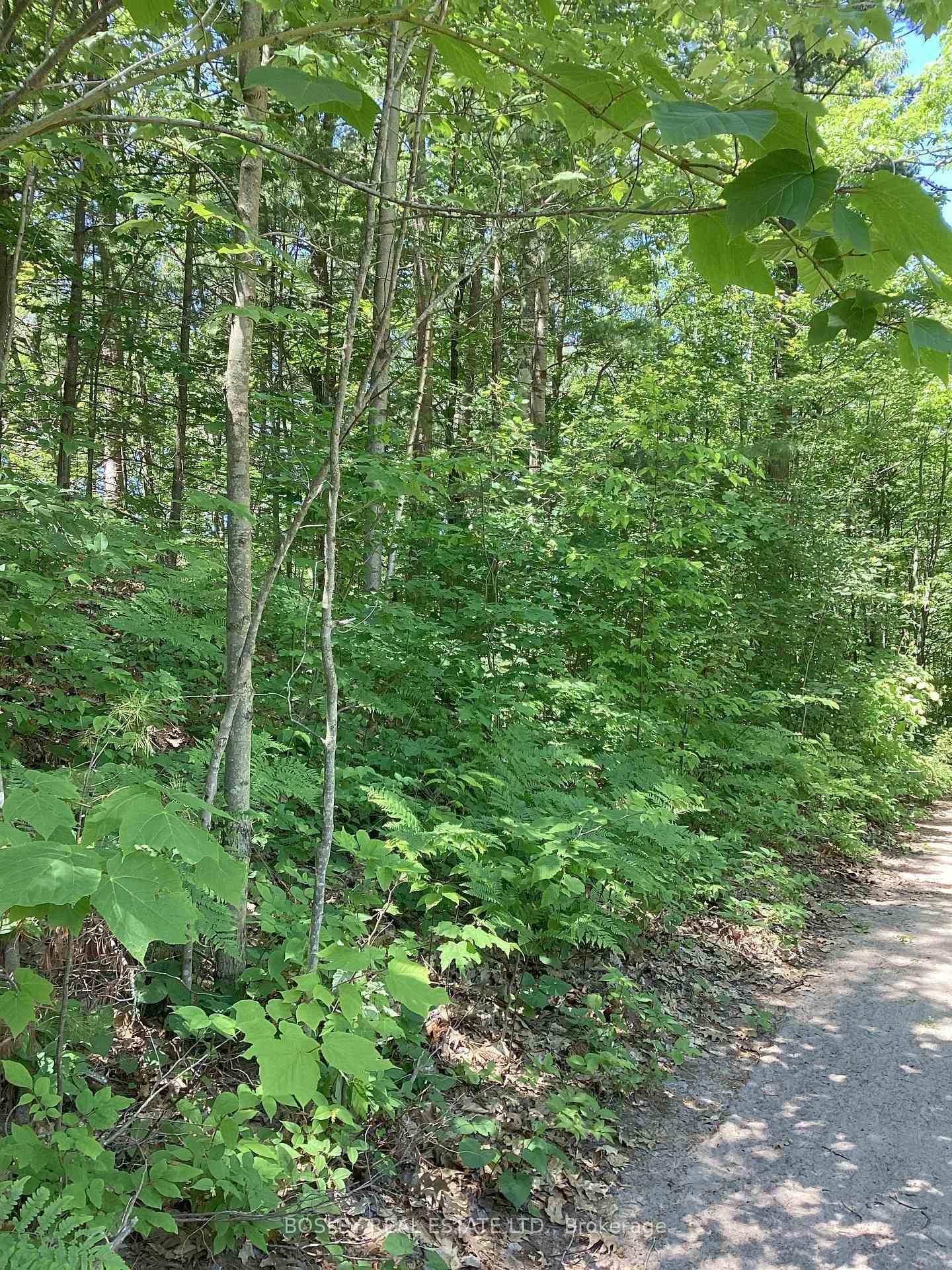 Lot 402 Desroches Trail photo 2