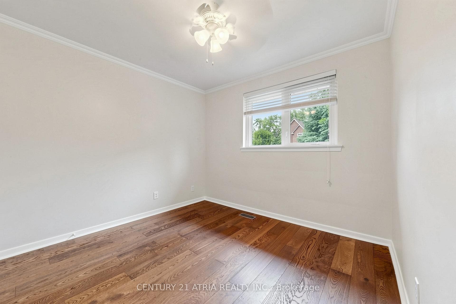 49 Netherford Road photo 22
