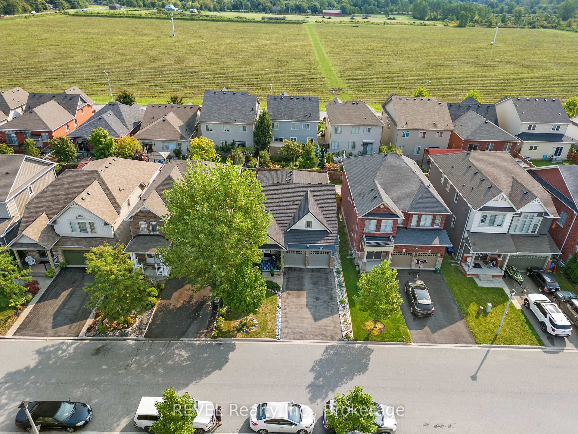 23 Cannery Drive photo 35