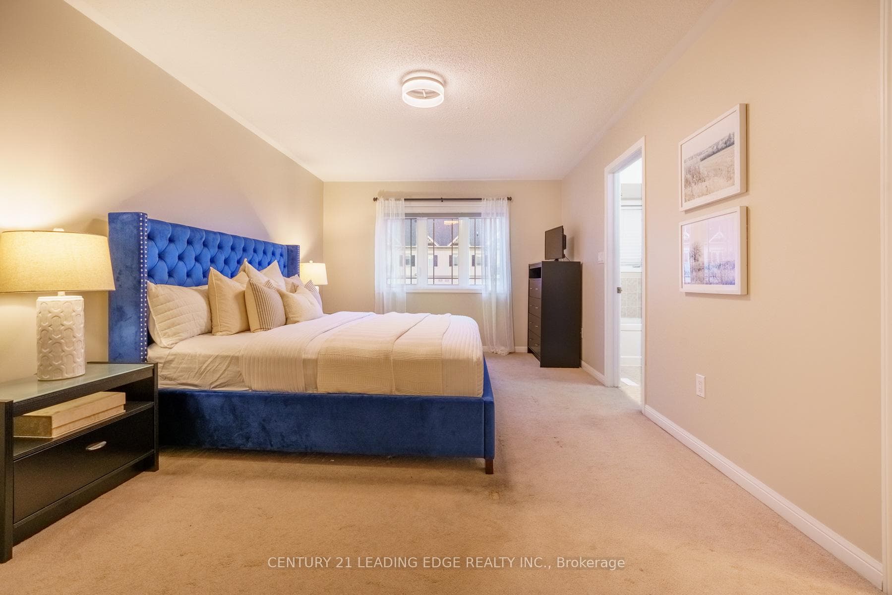11 Connell Lane photo 15