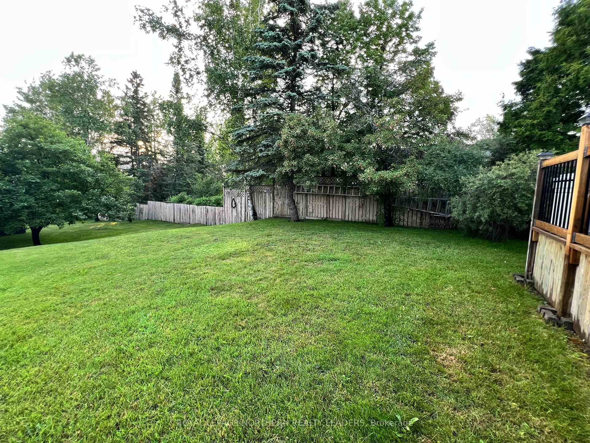 297 Cameron Street photo 44