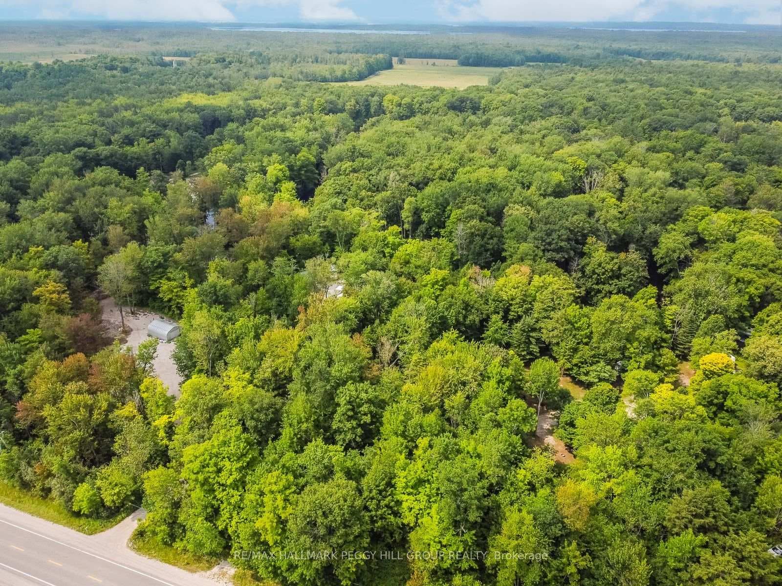 7012 County Road 169 N/A photo 1