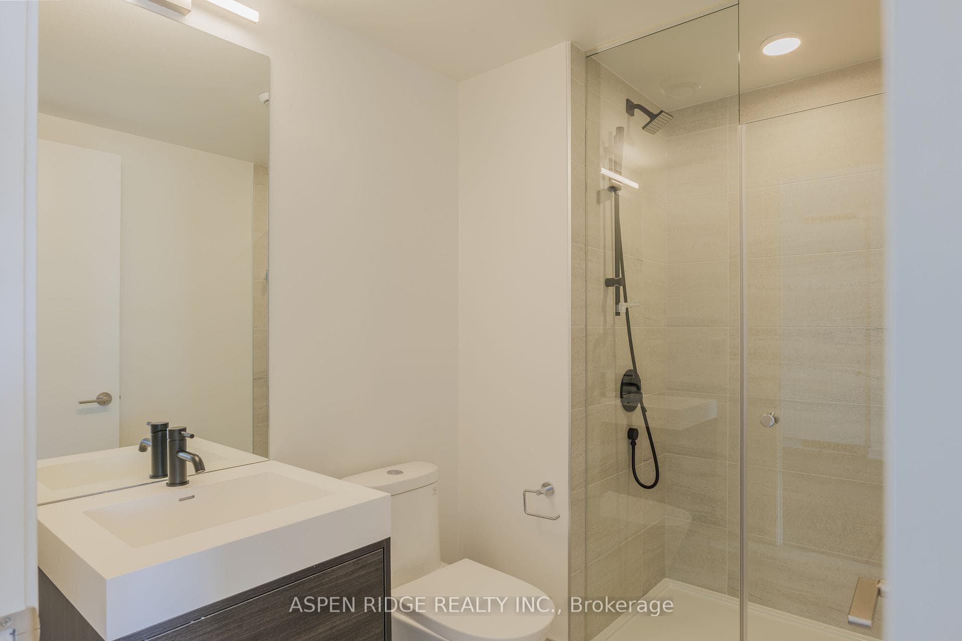 9 Tecumseth Street Unit 217 photo 6