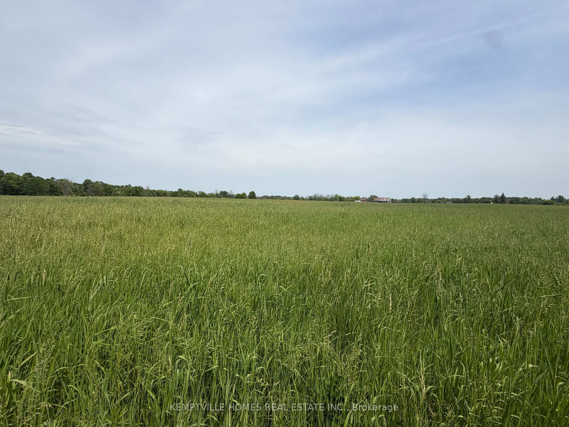 00 RICHARDSON Road photo 19