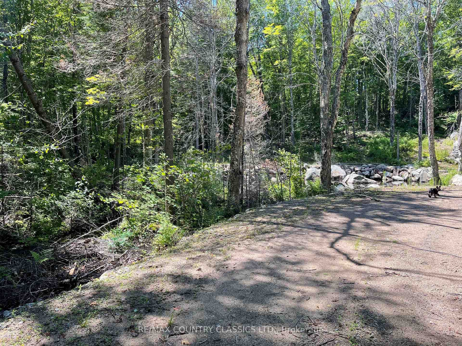 001 O'Grady Settlement Road photo 4