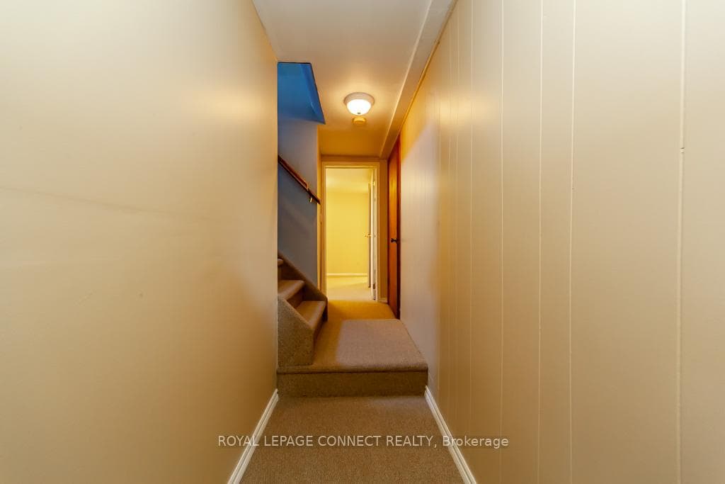 115 Munro Street photo 24