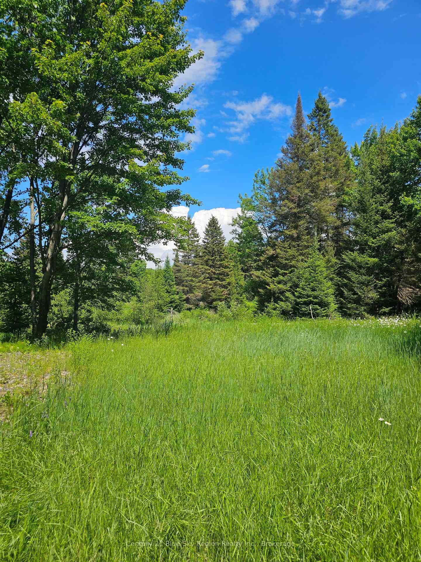 4369 Highway 534 N/A photo 10