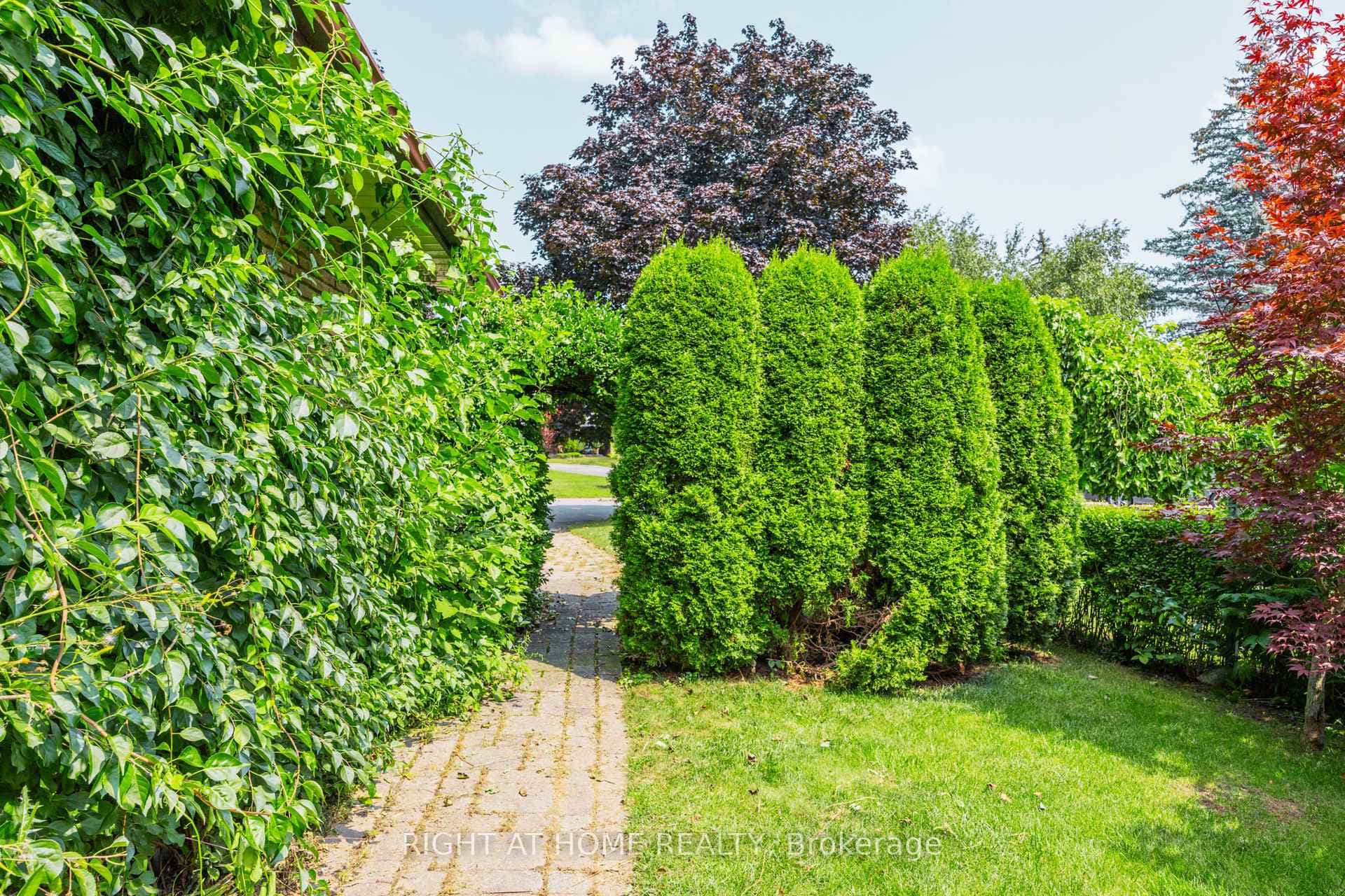 712 Tulip Court photo 3