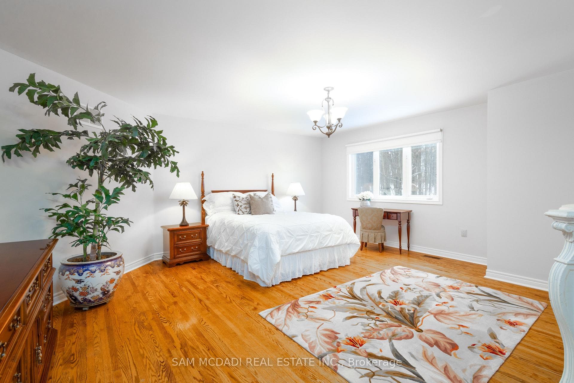 5198 Forest Ridge Drive photo 19
