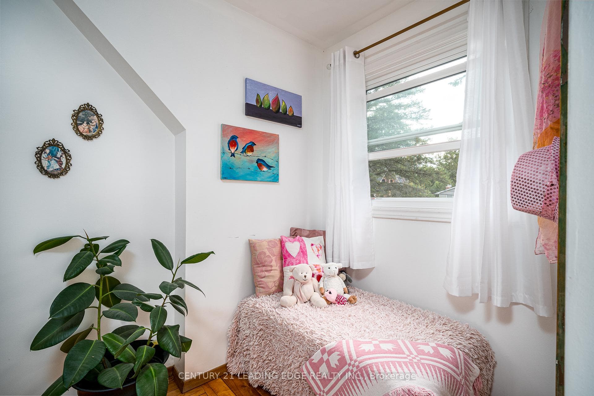 8 ALFRED Street photo 28