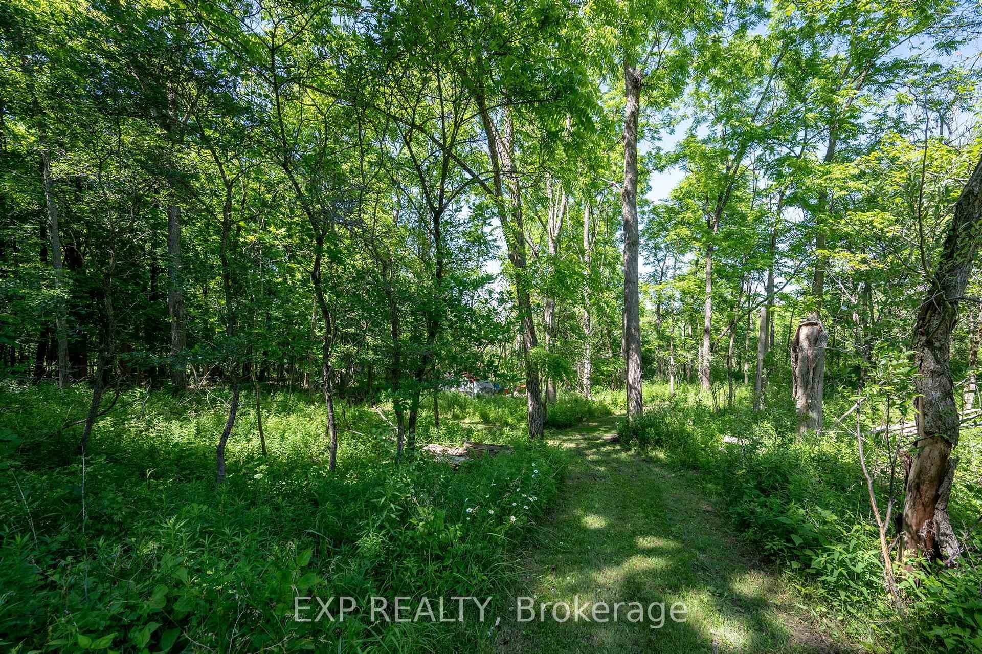 8402 Homestead, R.R. #3 Road photo 35