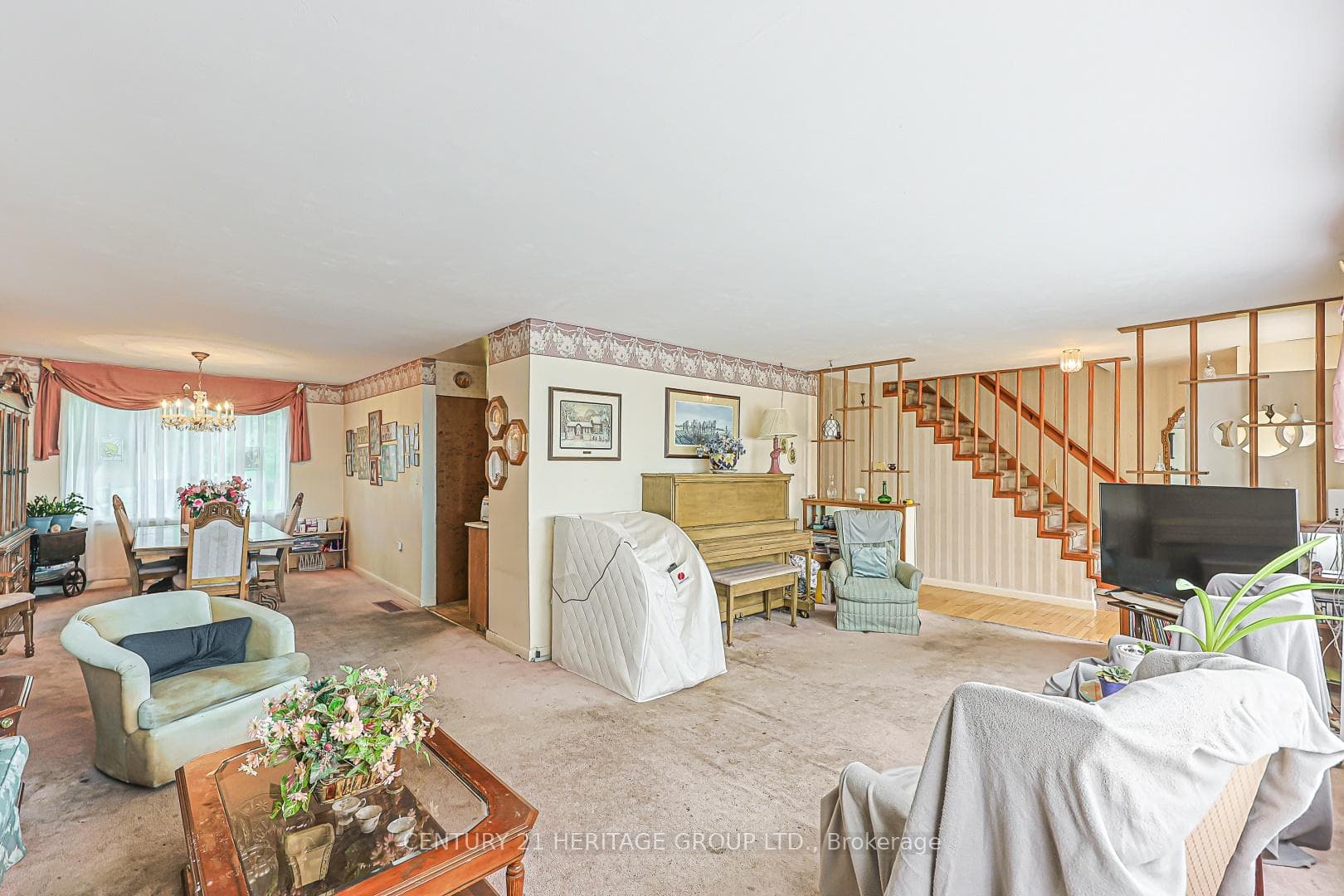 1036 Jacarandah Drive photo 8