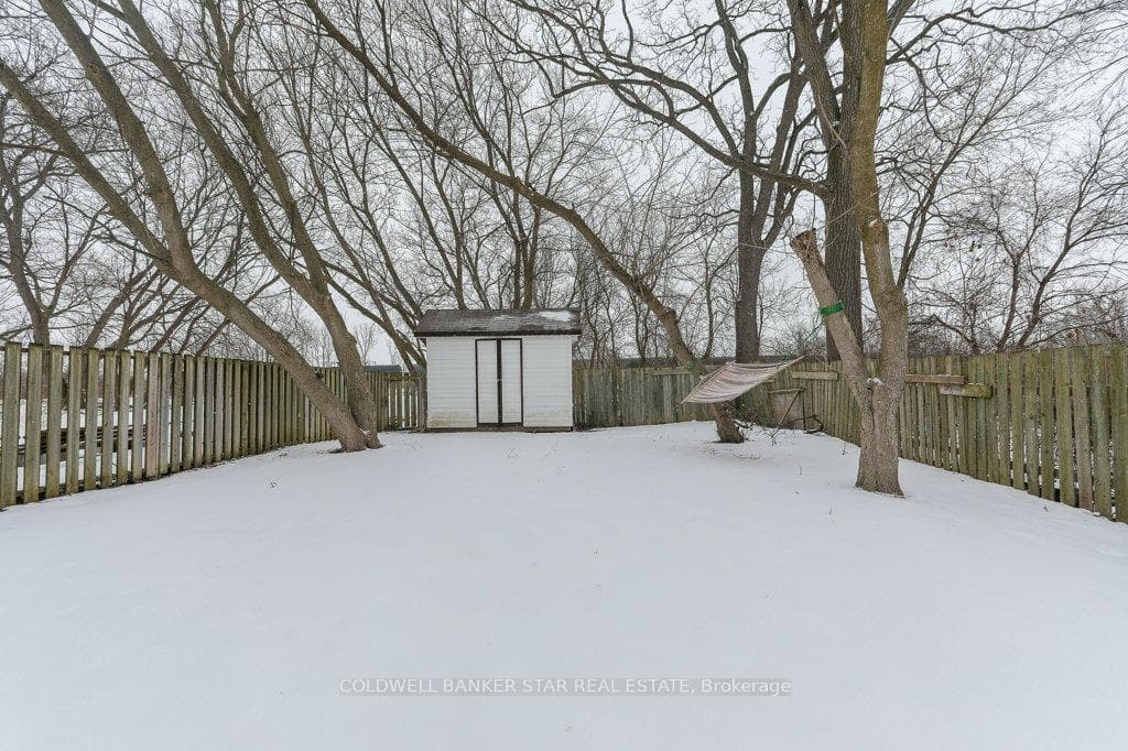 11 Omemee Street photo 32