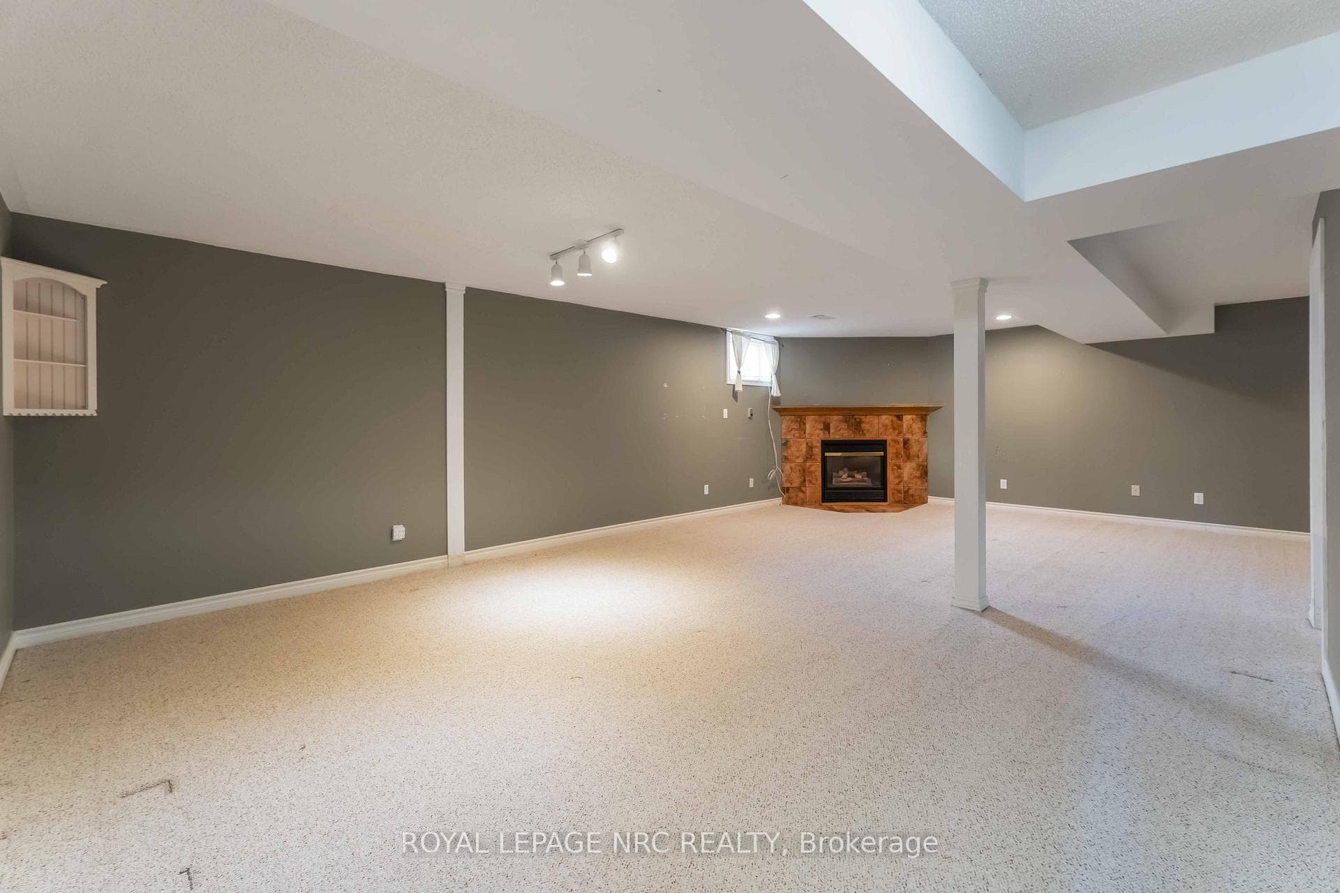 basement family/recr room with gas fireplace