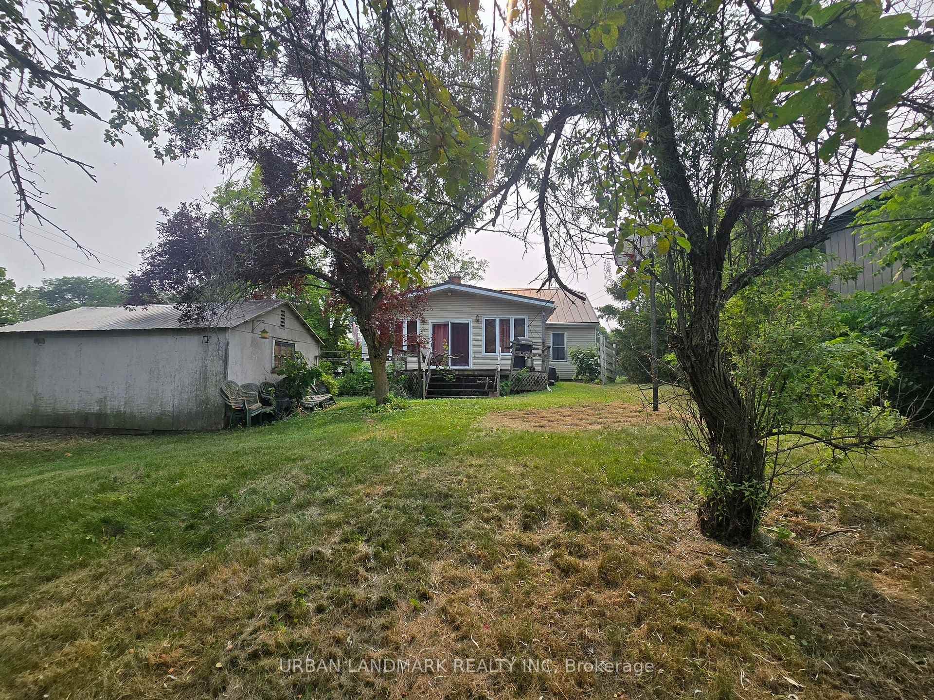 55 Nelson Street photo 8