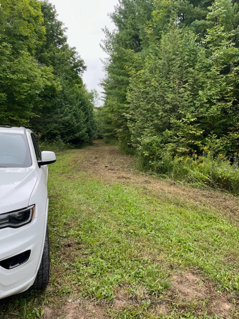 LOT 10 10th SIDEROAD NDR N/A photo 12