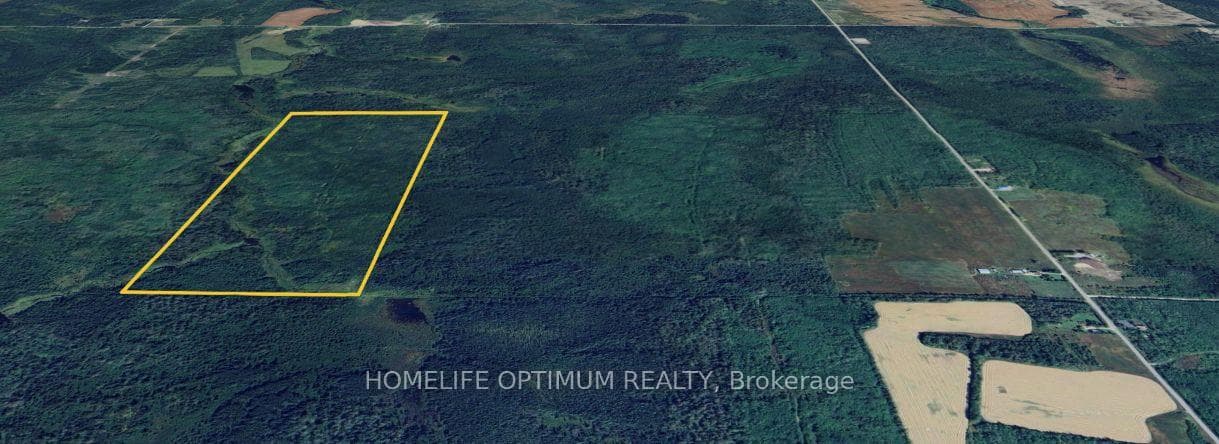 150 Acres in Clute Township N/A photo 7