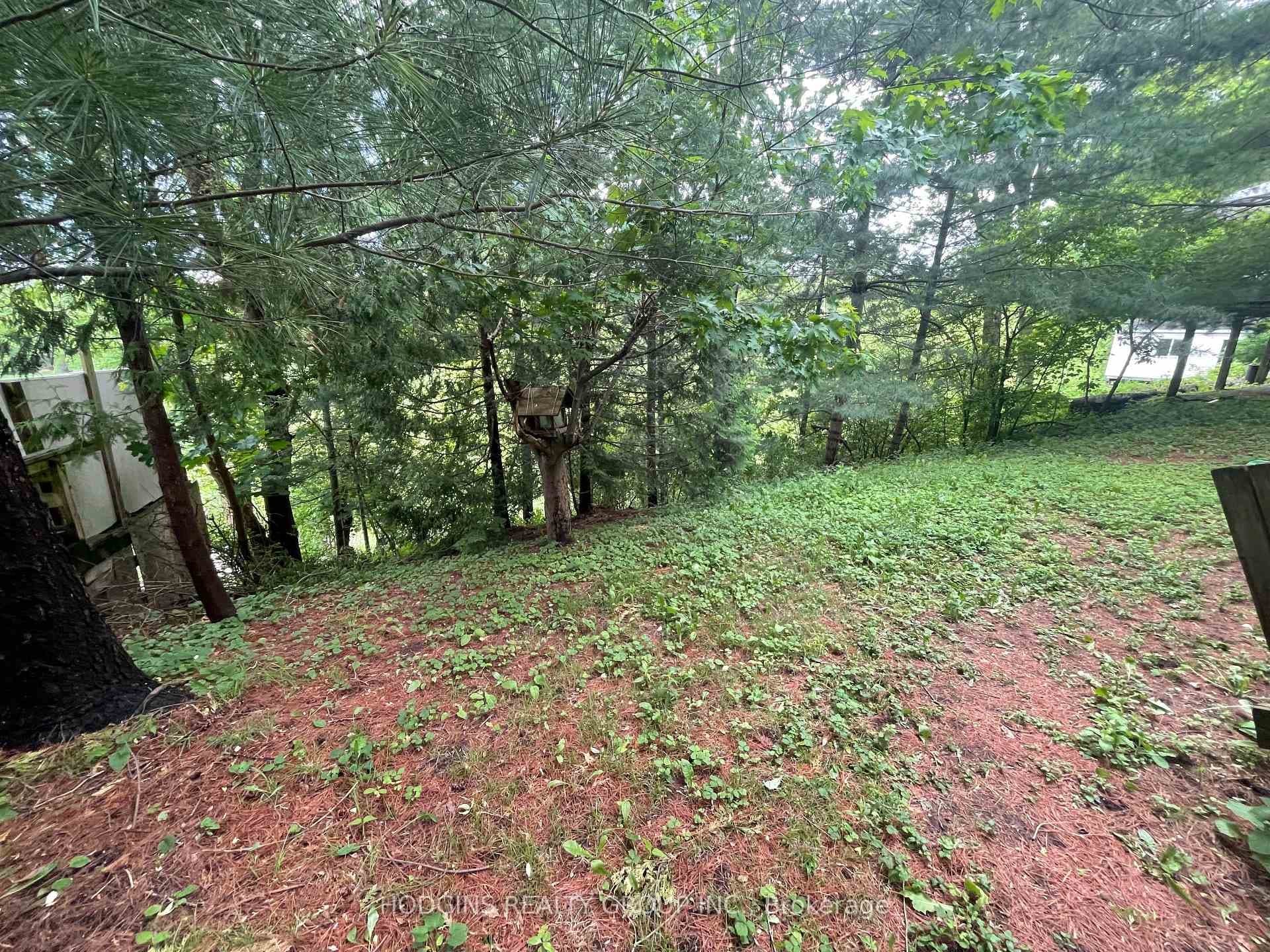 63 River Road photo 20
