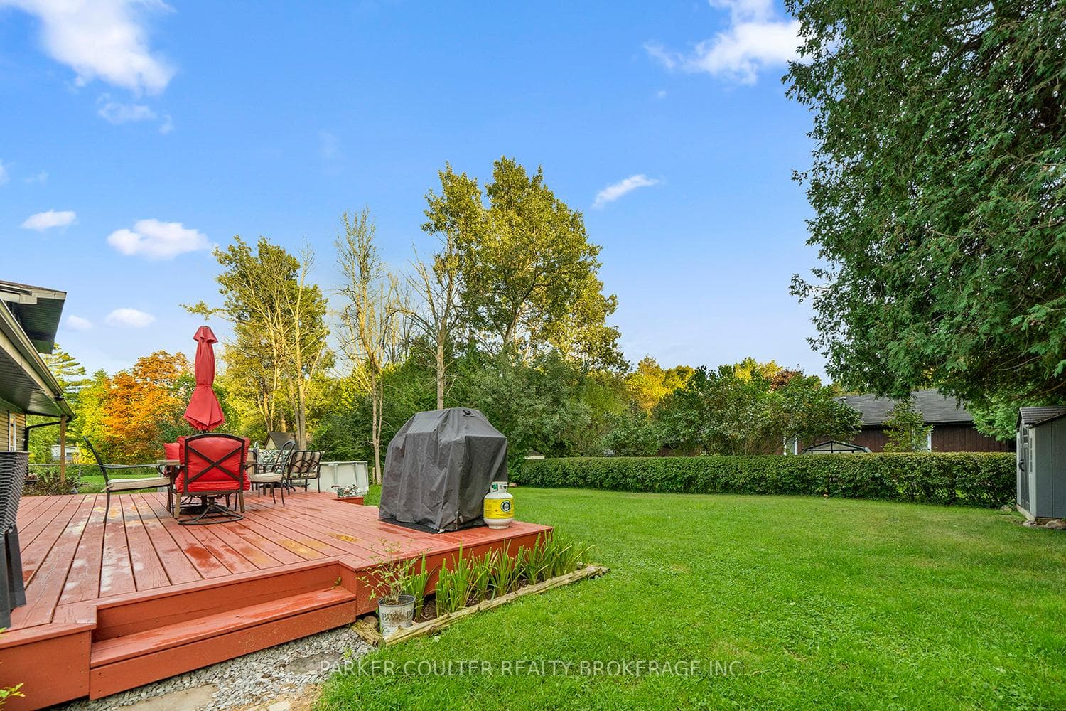 1075 Larch Street photo 5