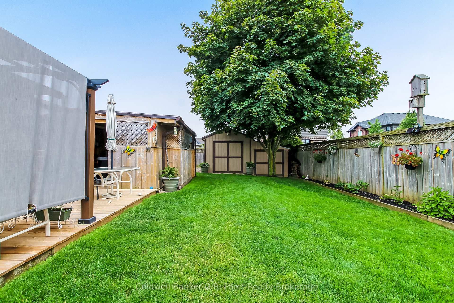 Yard and Shed