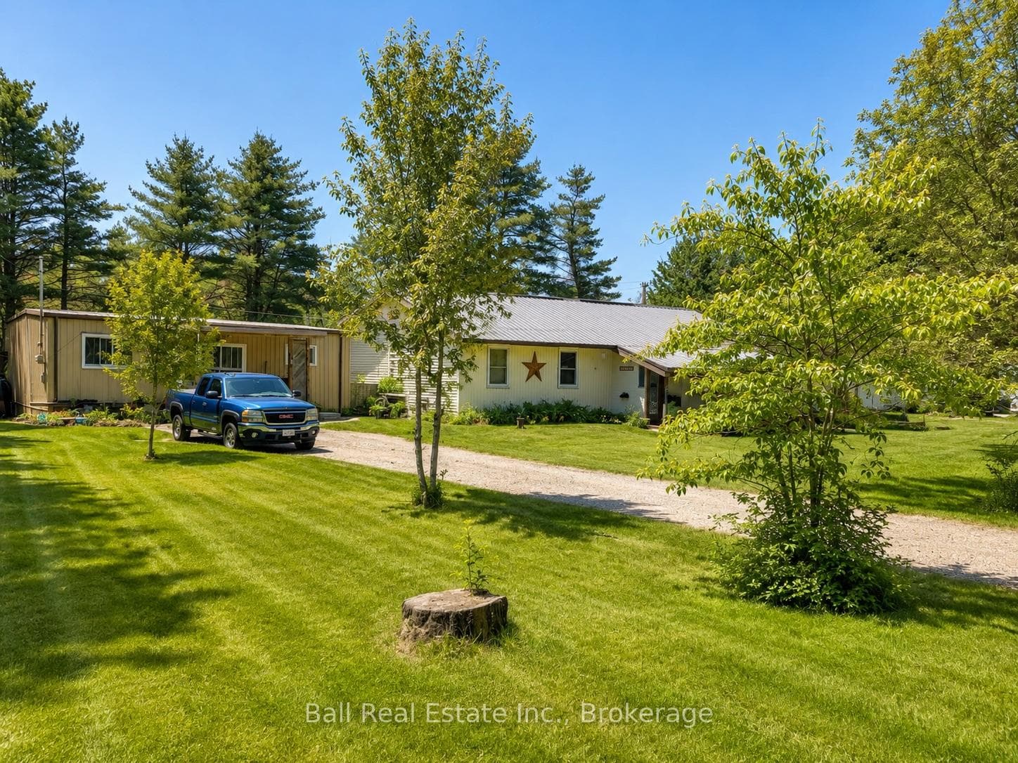 51 Cameron Road photo 18