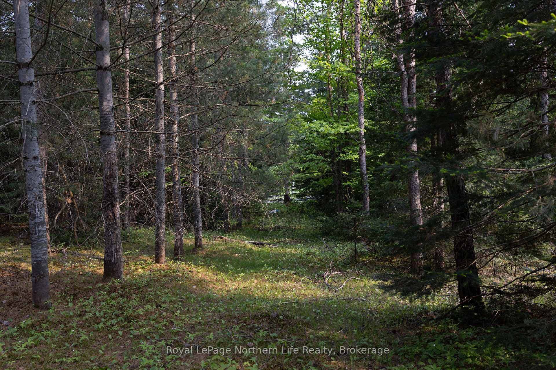 316 Mary Lake Road photo 5