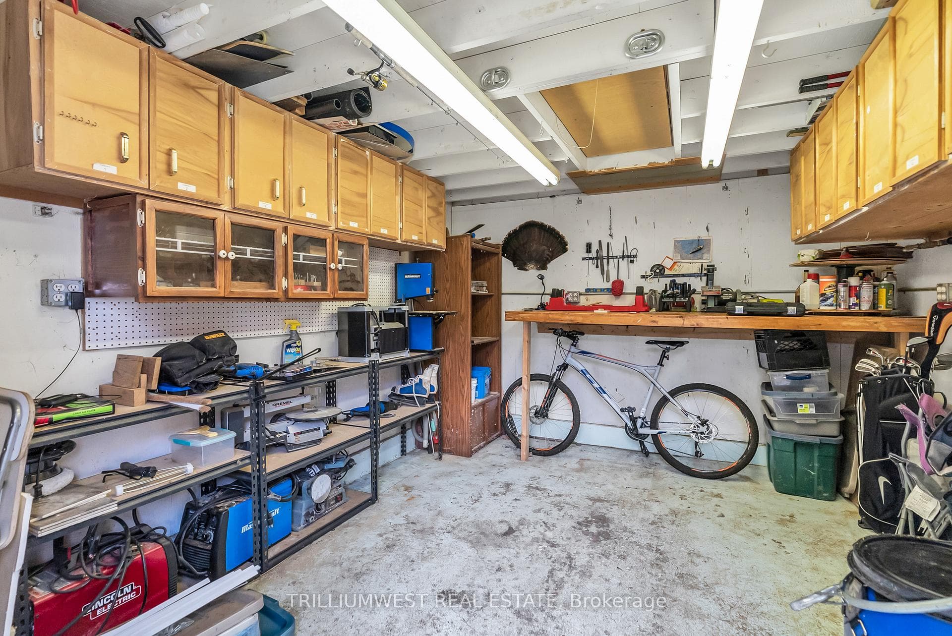15 Stirling Avenue photo 28