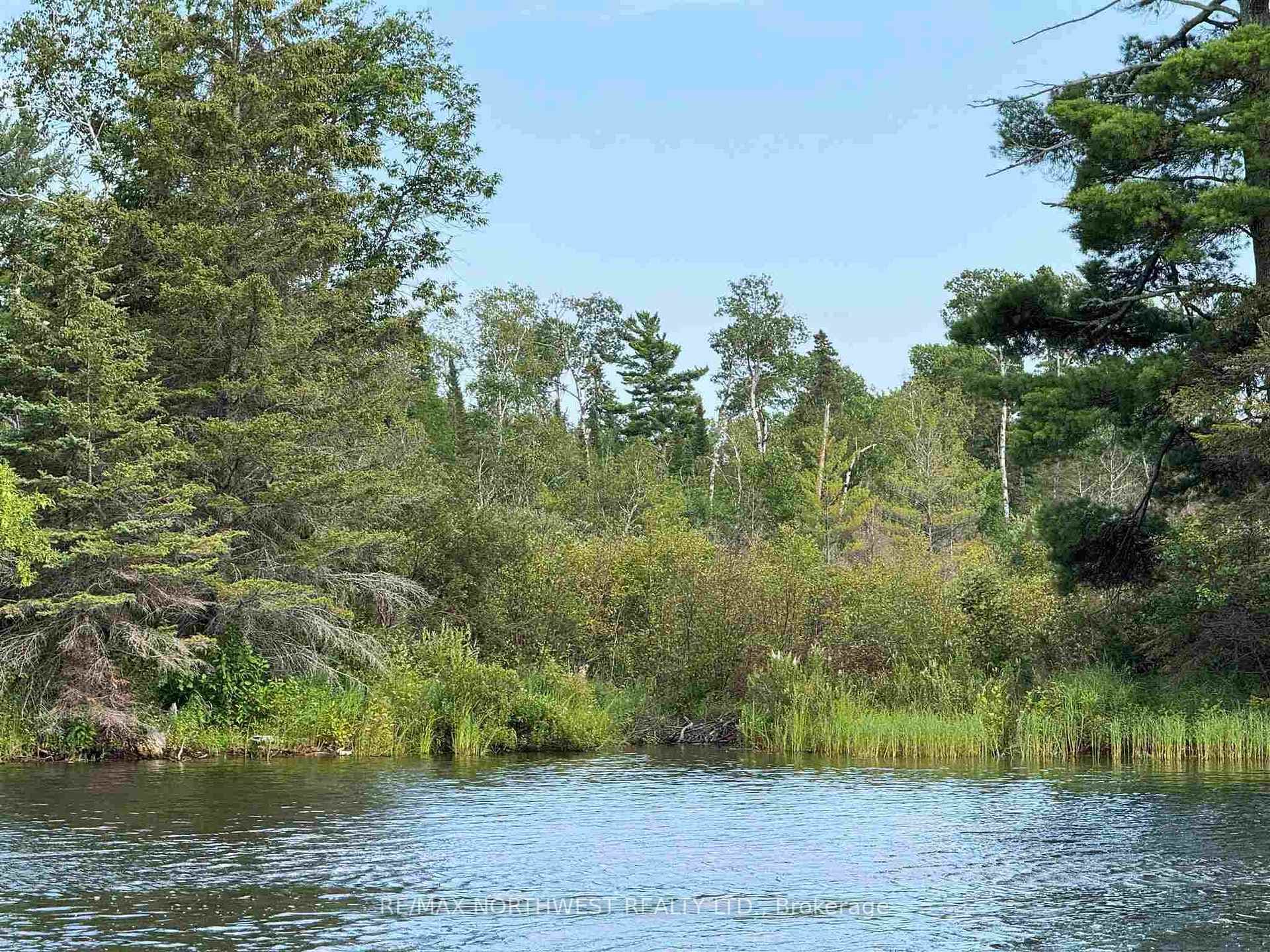 3,9 AND 10 DORION ISLAND LAKE OF THE WOODS photo 37