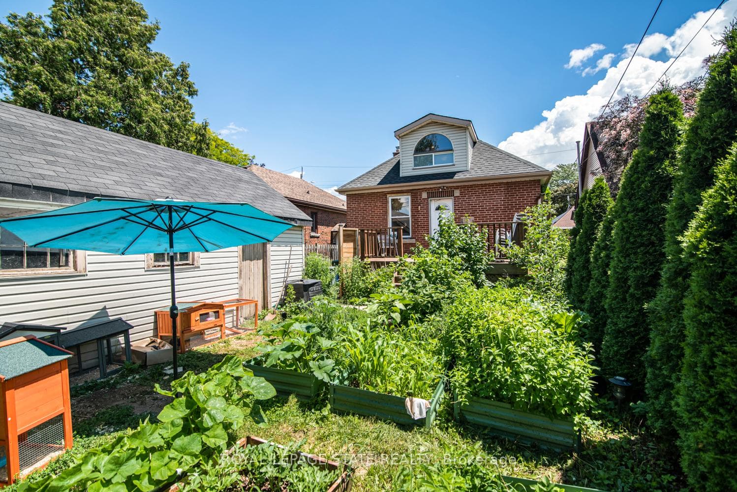 52 Cameron Avenue photo 46