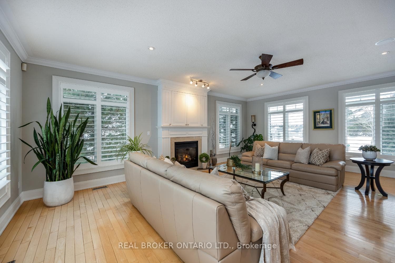 23 Venton Court photo 10