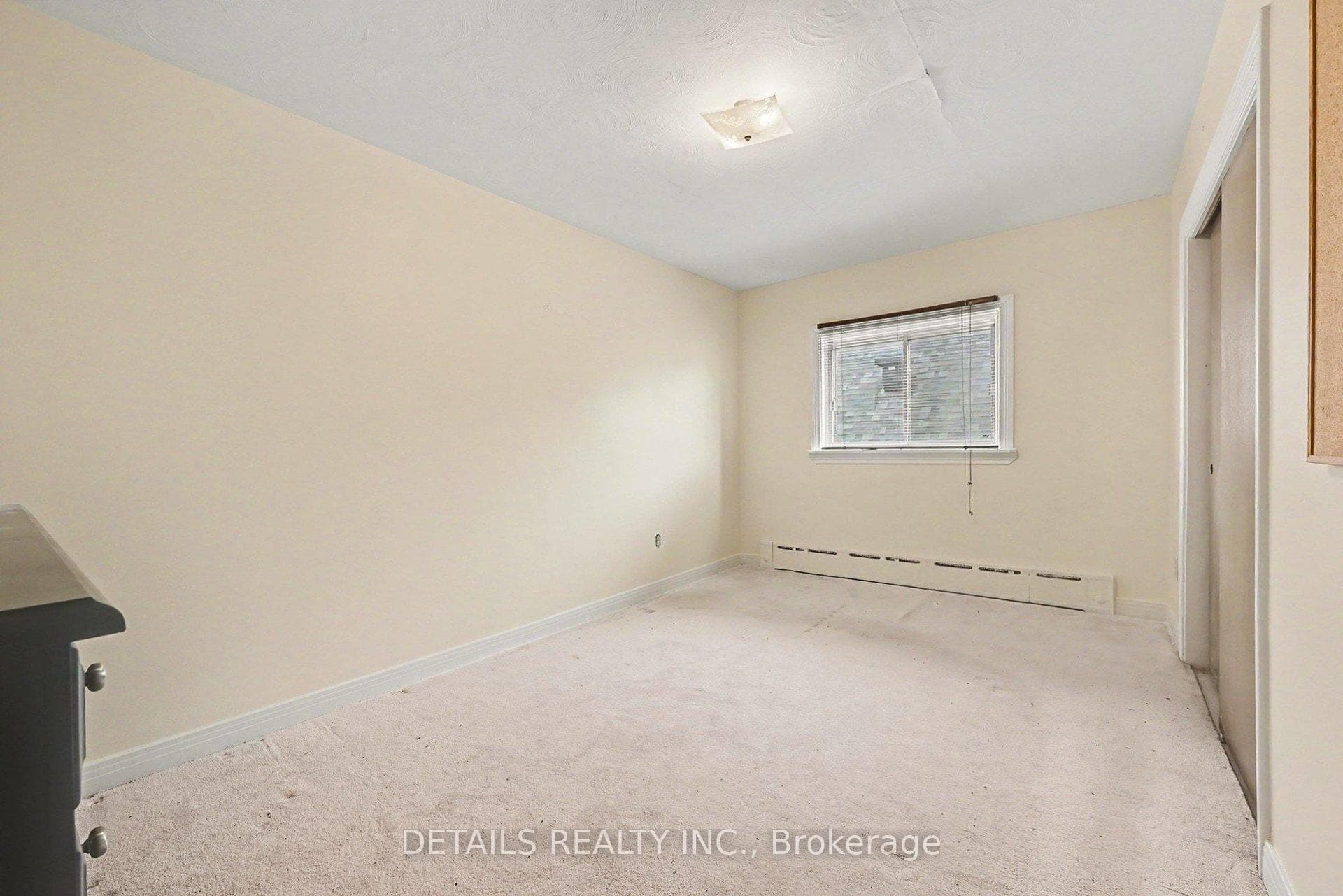 294 Donald Street photo 20