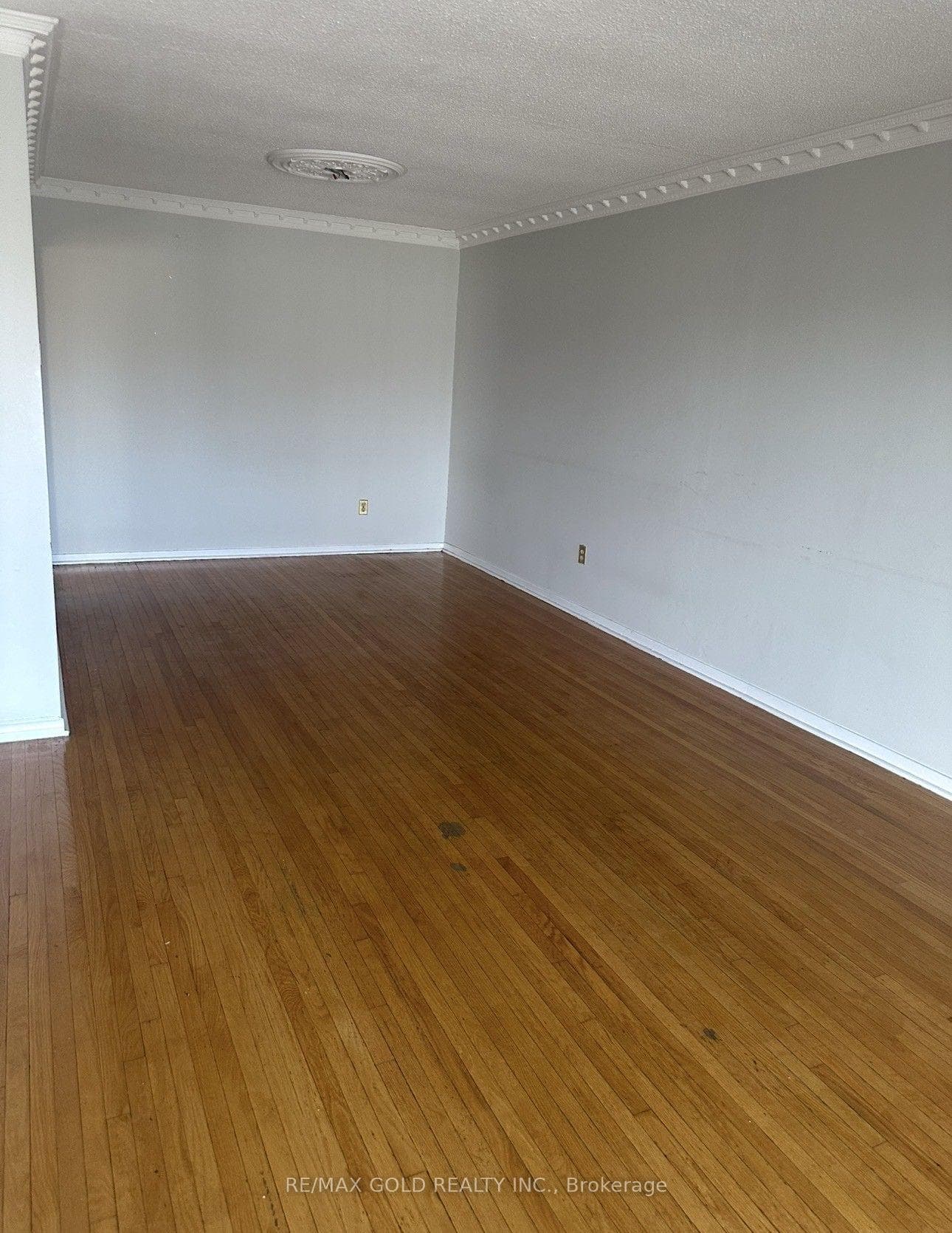 7463 Sigsbee Drive photo 7