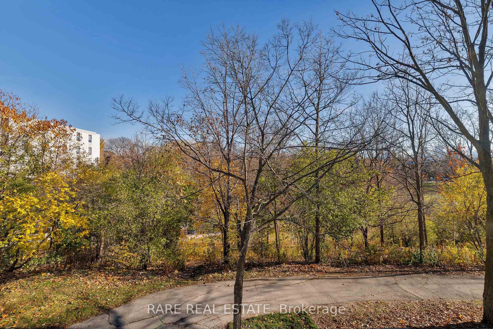 451 Montrose Avenue Unit laneway photo 12